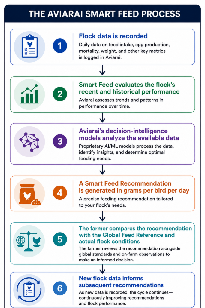 nfographic titled “The Aviarai Smart Feed Process” showing a six-step, top-to-bottom workflow connected by arrows. Step 1: Flock data is recorded, including daily feed intake, egg production, mortality, weight, and other key metrics. Step 2: Smart Feed evaluates the flock’s recent and historical performance to identify trends and patterns. Step 3: Aviarai’s proprietary AI/ML decision-intelligence models analyze available data, identify insights, and determine optimal feeding needs. Step 4: Smart Feed generates a precise feed recommendation in grams per bird per day, tailored to the flock. Step 5: The farmer compares the recommendation with the Global Feed Reference and actual on-farm flock conditions before making a decision. Step 6: New flock data feeds back into the process and informs subsequent recommendations, creating a continuous cycle intended to improve recommendations and flock performance.